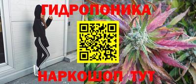 прущая мука Мариинск