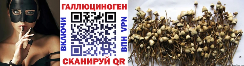 Галлюциногенные грибы MAGIC MUSHROOMS  даркнет сайт  Минеральные Воды 